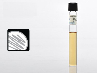 Hardy Diagnostics Prepared Media Thioglycollate Medium Beige Tube Format (20/BX)