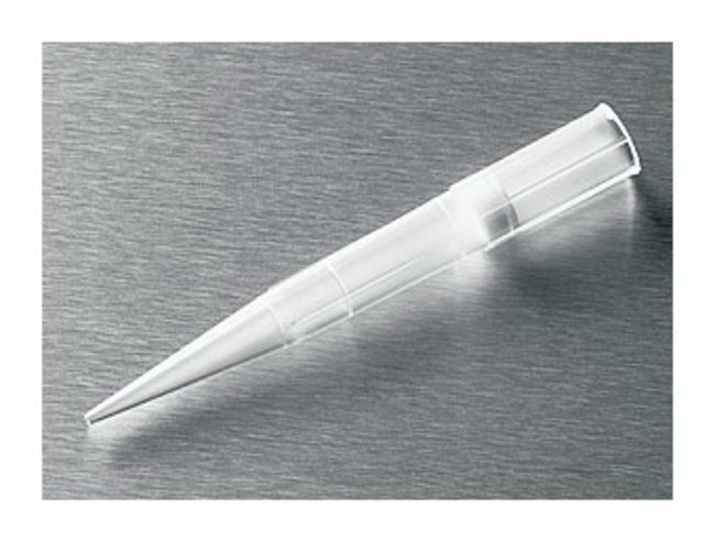 Fisher Anatomical Filter Pipette Tip Corning Isotip 100 to 1,000 µL Graduated Sterile (1000/CS)