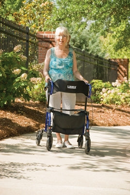 Graham-Field Hybridlx Rollator Transport Chair