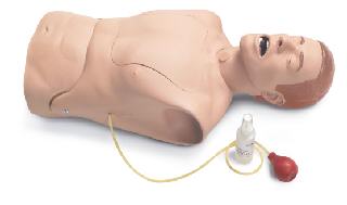 Laerdal Medical Nasogastric Tube and Trach Care Trainer (Each)
