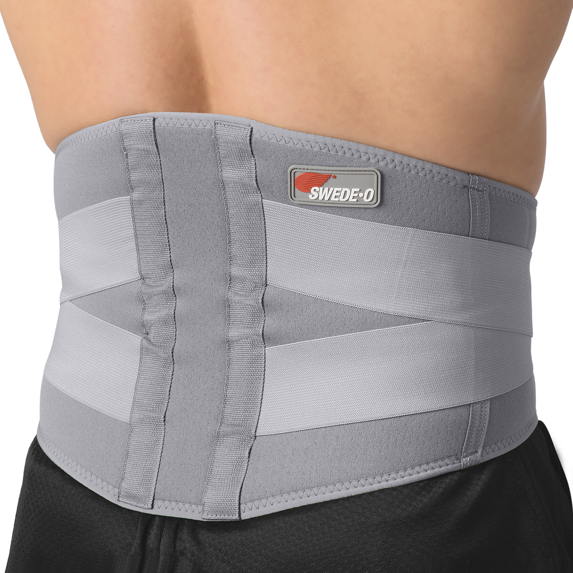 SUPPORT LUMBAR LRG