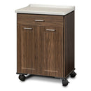 Clinton Fashion Finish Mobile Treatment Cabinet with 2 Doors and 1 Drawer  Chestnut Hill