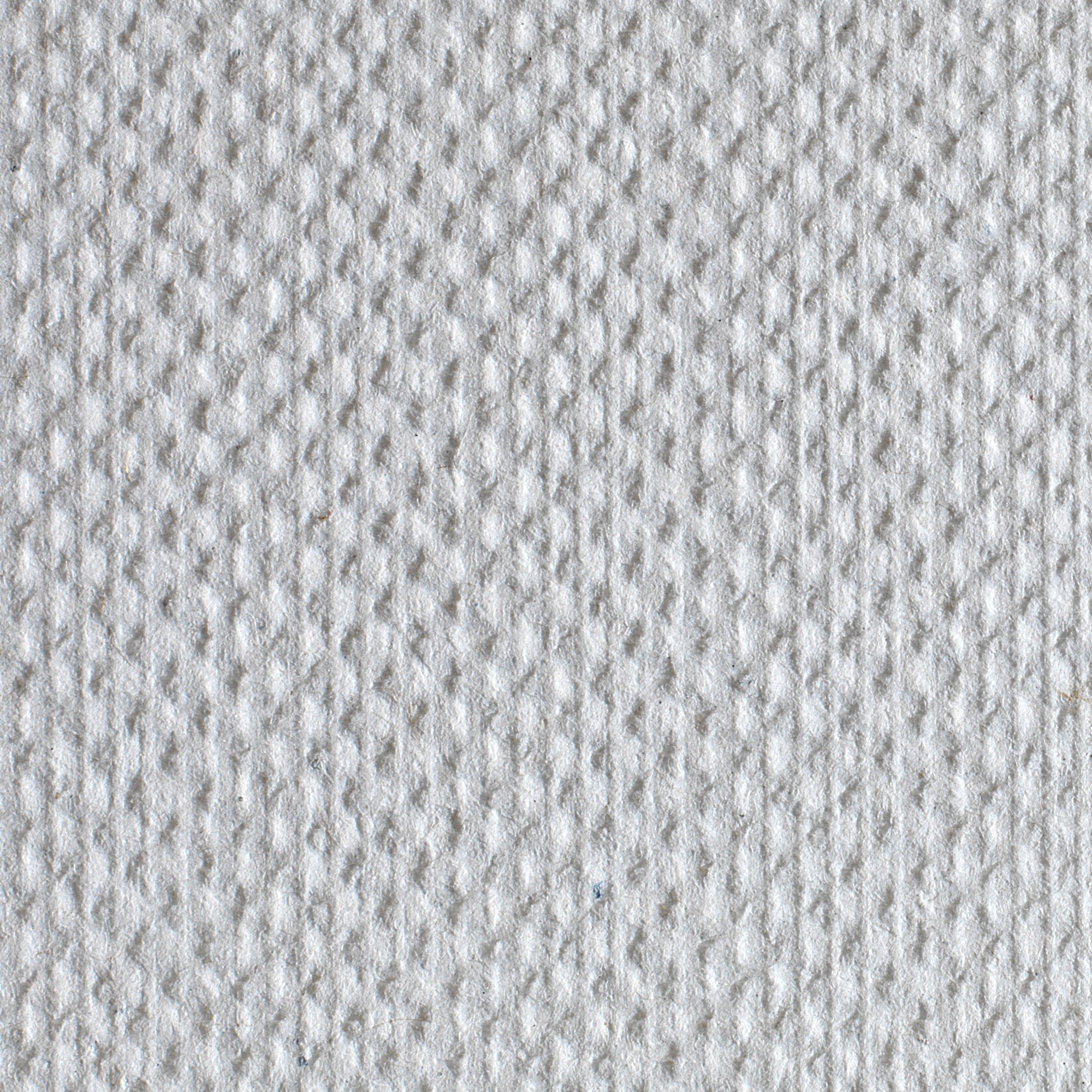 Pacific Blue Basic Multifold Paper Towels texture