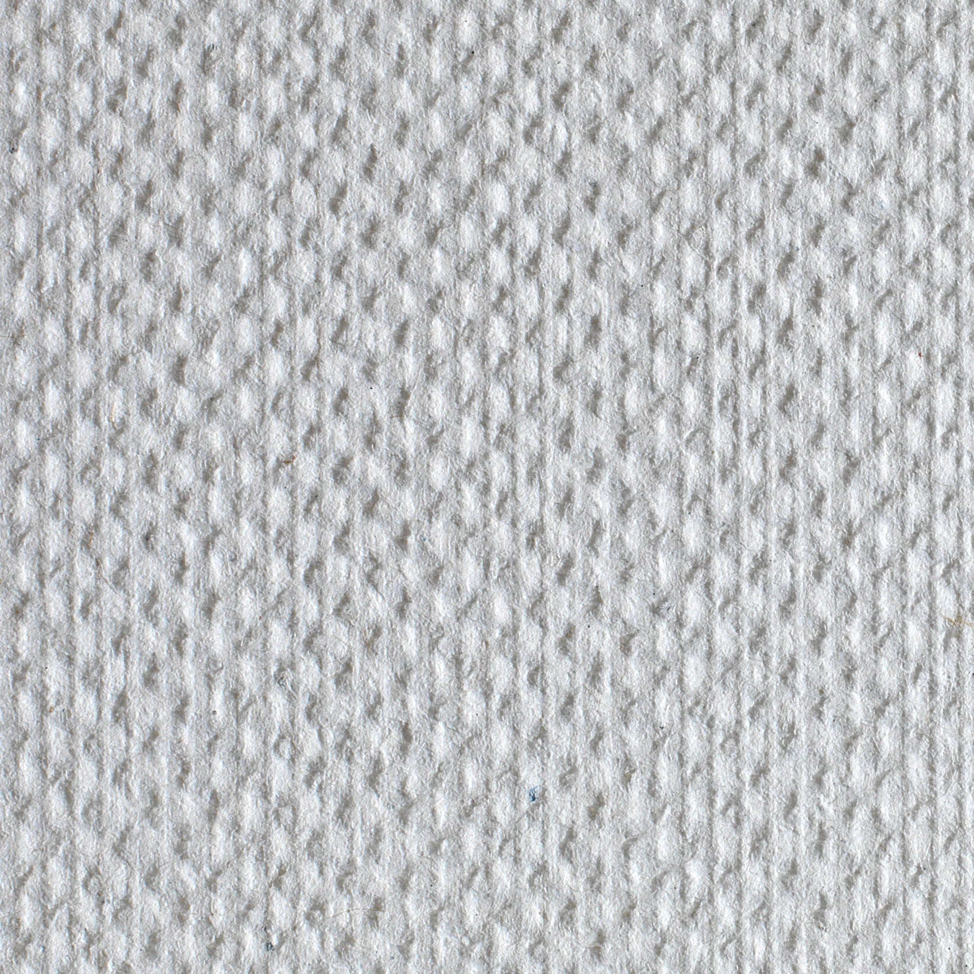 Pacific Blue Basic Multifold Paper Towels texture