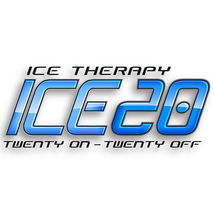 ICE20 logo