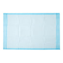 Protection Plus Disposable Underpads from Medline, 23 Inch x 1 Yard (150/CS)
