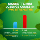 Glaxo Consumer Products Nicorette Nicotine Polacrilex Lozenges 4 mg, Coated Ice Mint (20/CT)