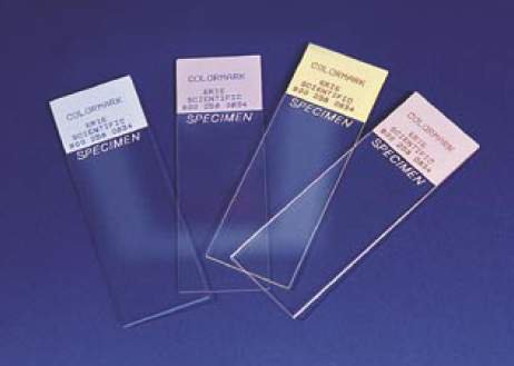 Colormark Plus Microscope Slide (10/CS)