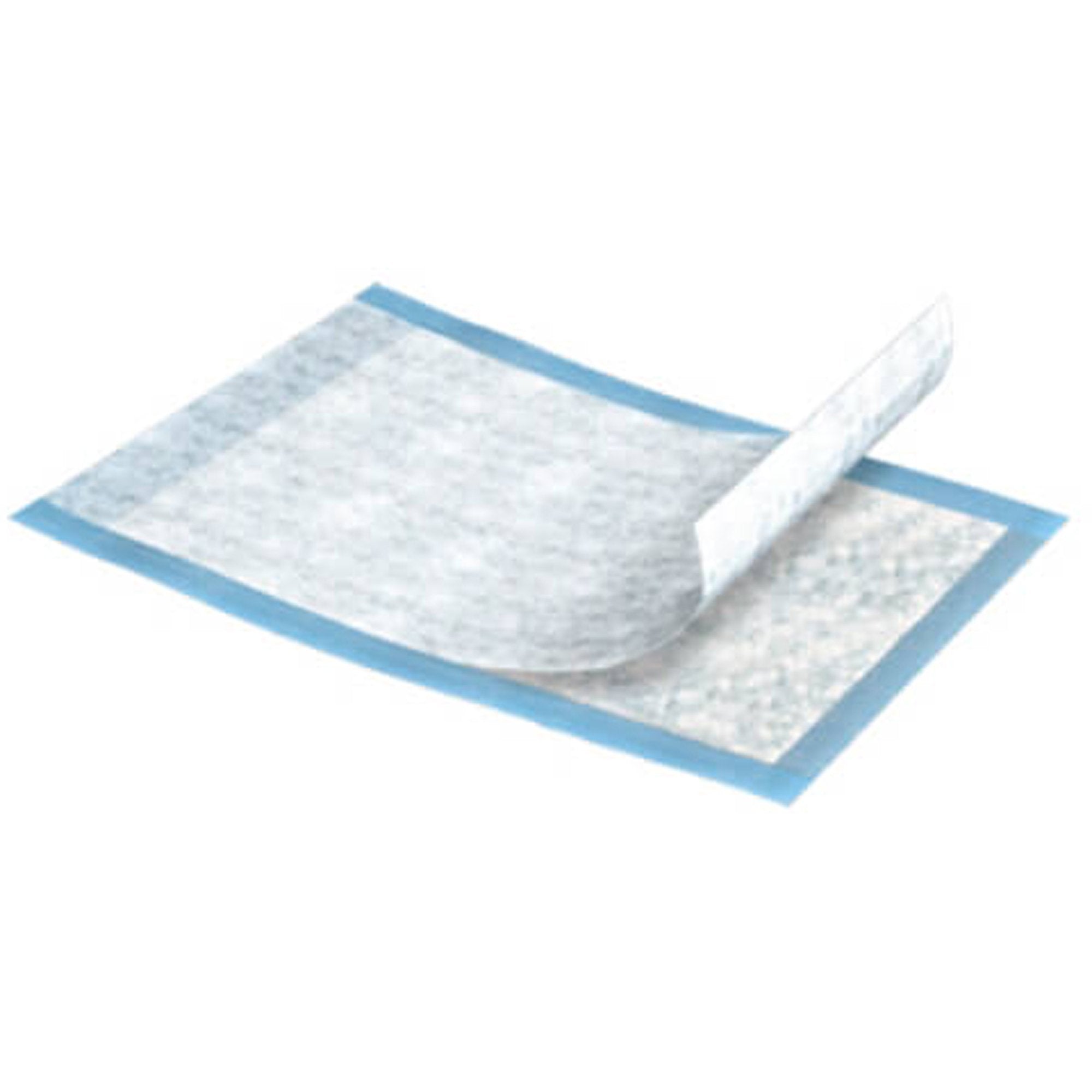 Essity HMS North America Inc Tena Extra Absorbent Underpad, 17 x 24 Inch (12/CS) 