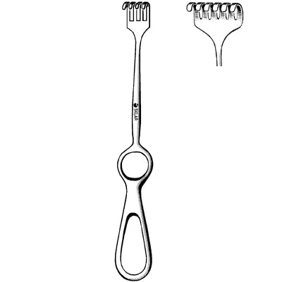 Sklar Volkman Retractor - 8-1/2", Blunt, 6 Prongs, Ring Handle - 60-5816