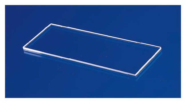 Fisher Anatomical Microscope Slide Fisherbrand Premium 25 X 75 X 1 mm Plain (144/BX) 