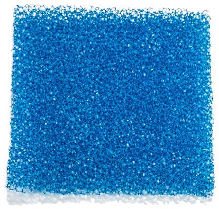 FOAM BIOPSY BLU 1X1.25 1000/PK10PK/CS