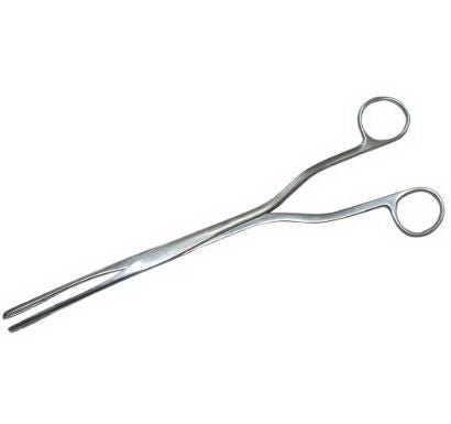 Ovum Forceps MedGyn Hern-Van-Lyth 9-1/2 Inch Length OR / Surgical Grade Stainless Steel NonSterile NonLocking Finger Ring Handle Curved Fenestrated Serrated Oval Tips