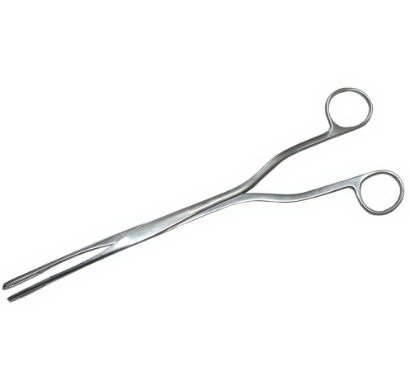 Ovum Forceps MedGyn Hern-Van-Lyth 9-1/2 Inch Length OR / Surgical Grade Stainless Steel NonSterile NonLocking Finger Ring Handle Curved Fenestrated Serrated Oval Tips 