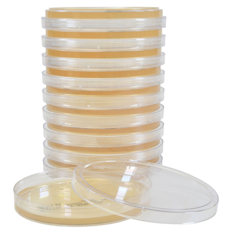 Prepared Media Tryptic Soy Agar (TSA) Deep Fill Plate Format