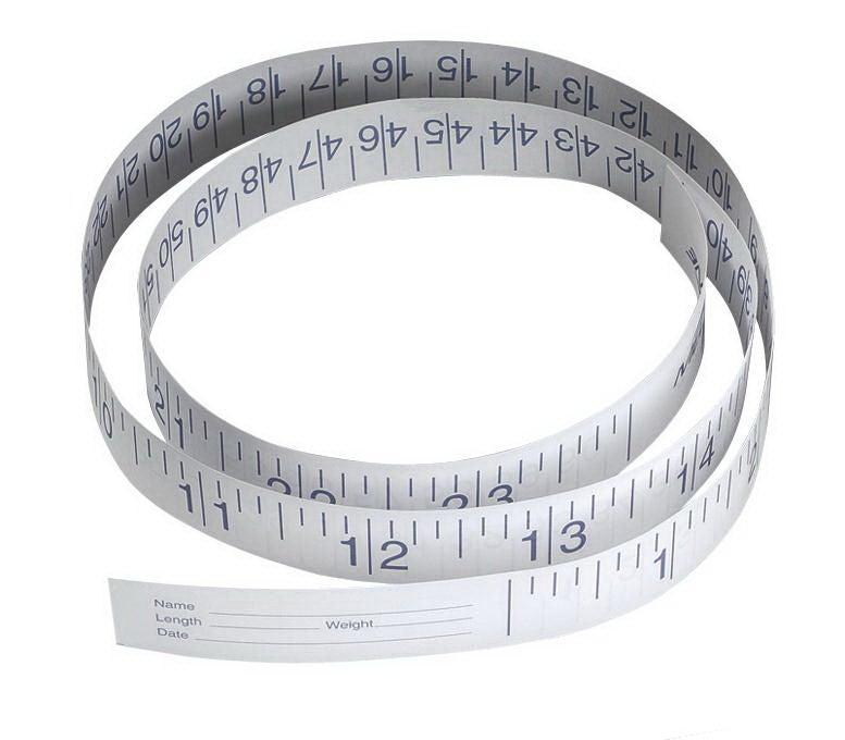 Measurement Tape 24 Inch Length Paper Disposable Inches / Centimeters (Case of 1000)
