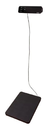 SCALE INDICATOR REMOTE 600X0.2LB INTERNL RECHRGABL BATTRY