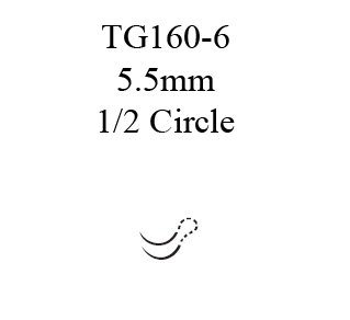 Nonabsorbable Suture with Needle Ethilon Polyamide TG160-6 1/2 Circle Spatula Needle Size 10-0 Monofilament 
