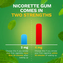 Nicorette Stop Smoking Aid Gum 4 mg Spearmint Burst with a Hint of Chamomile (Carton of 100)