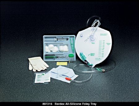 TRAY FOLEY SILICONE DRAIN BAG16FR 10/CS