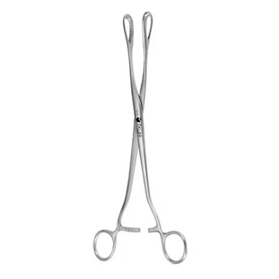 Sklar Saenger Ovum Forceps 10-1/2" - 92-5291 