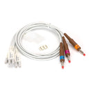 LEADS WAM/AM12 AHA BANANAV4-V6