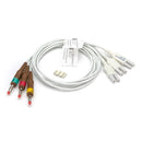 LEADS WAM/AM12 AHA BANANAV1-V3