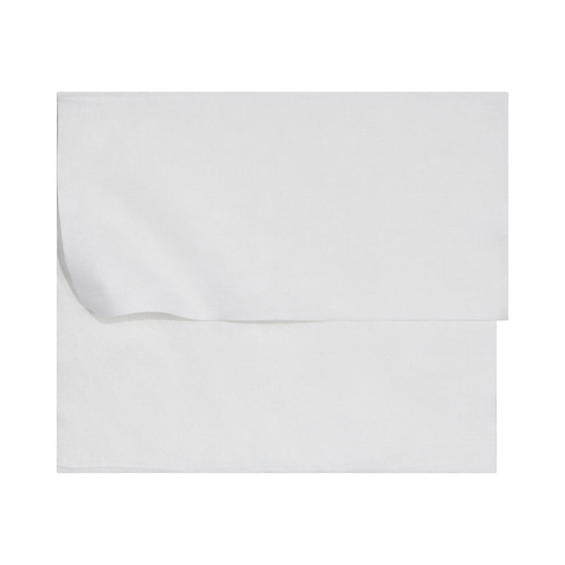 McKesson Brand McKesson Flushable* Wet Wipes XL - Unscented, 96 Wet Wipes per Pack (576/CS) 