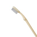 McKesson Brand McKesson Toothbrush, Ivory, Medium, Curved Handle (1440/CS) 
