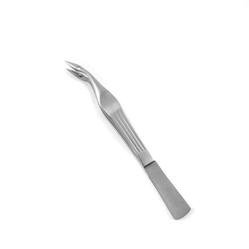 Econo Carmalt Splinter Forceps - 4-1/4", Angled, Disposable, BX 12 - 21-793