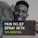 Icy Hot Menthol Topical Pain Relief, 4-ounce Spray Can (Each)