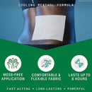 Biofreeze Menthol Pain Relief Patches, Large (5/BX)