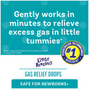 Little Remedies for Tummys Simethicone Antigas Gas Relief Drops (Each)