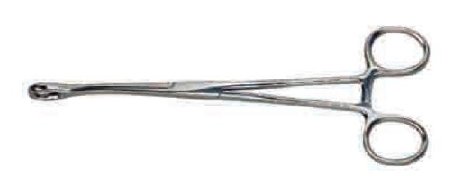 Graham-Field Ballenger Sponge Forceps, Serrated - Straight, 7" 