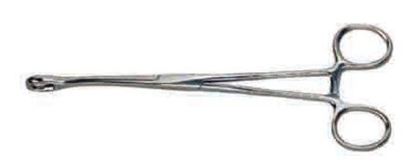 Graham-Field Ballenger Sponge Forceps, Serrated - Straight, 7" 