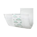 Secure Personal Care Products TotalDry Duo Maximum Absorbency Incontinence Booster Pad, 12-Inch Length (180/CS) 