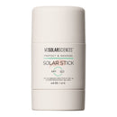 MDSolarSciences MDSolarSciences Tinted Solar Stick Sunscreen (48/CS) 