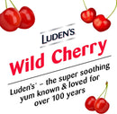 Luden's Cherry Flavor Sore Throat Relief (30/BG)