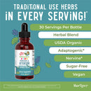 Mary Ruth's Organic Kids Focus & Attention Liquid Drops (Case of 6)