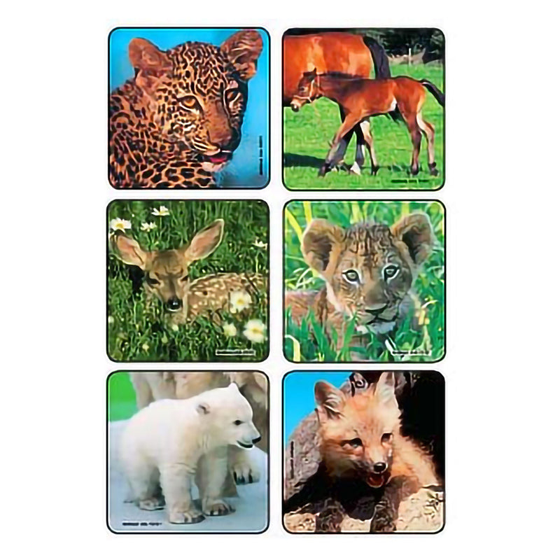 Sticker Kids Love Stickers 90 per Pack Baby Animal Photos , Assorted 2-1/2 X 2-1/2 Inch