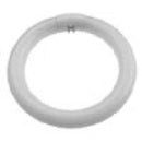 Brandt Industries 22 W. Fluor. Tube for Magnifier