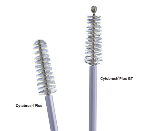 Cooper Surgical Medscand Cytobrush Plus GT Cytology Brush, 196 mm Length (2500/BX) 