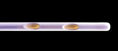 Urodynamic Catheter Double Lumen 7 Fr. Polyurethane (Each)