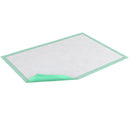 Essity HMS North America Inc Tena Ultra Plus Underpad, 30 x 30 Inch (100/CS)