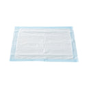 McKesson Brand McKesson Classic Plus Light Absorbency Underpads, 17 x 24 Inch (300/CS) 