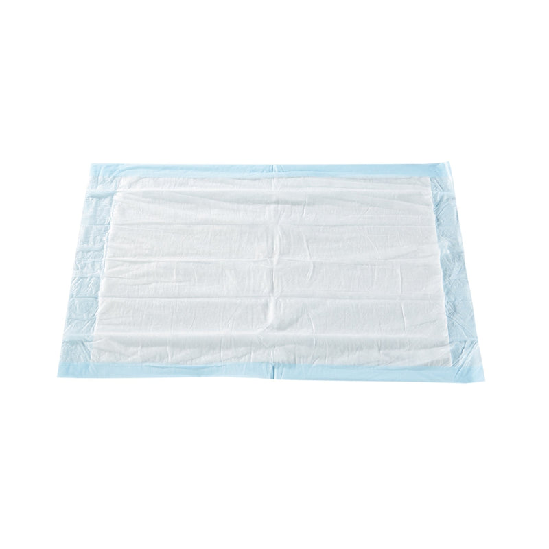 McKesson Brand McKesson Classic Plus Light Absorbency Underpads, 17 x 24 Inch (300/CS) 