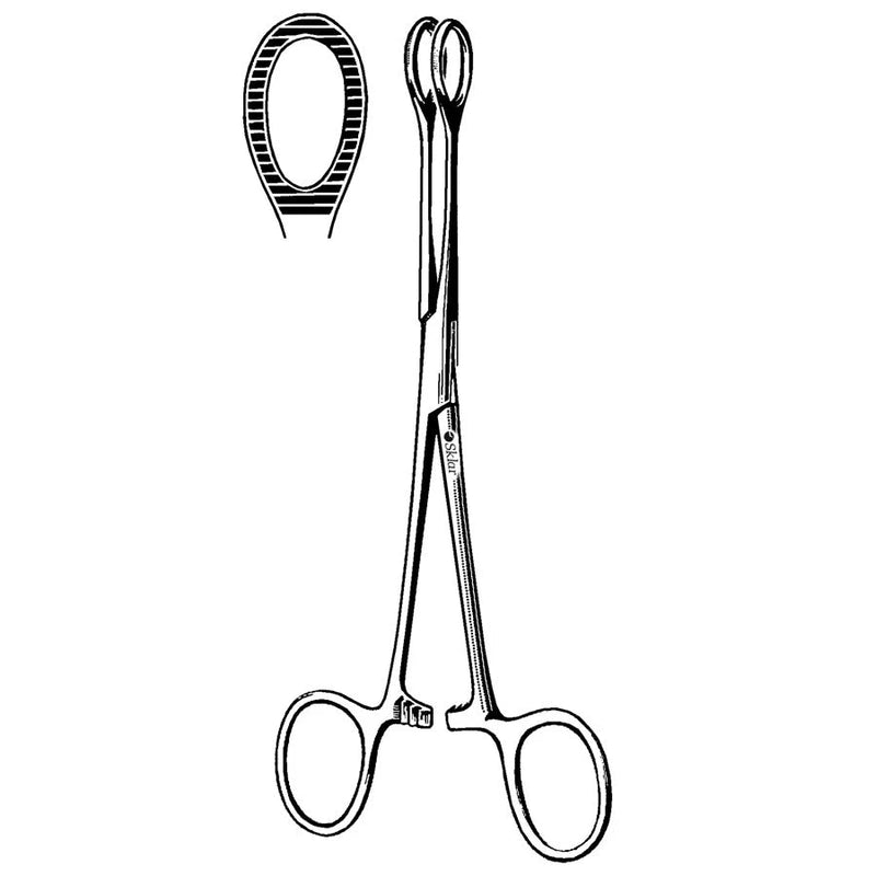 Econo Ballenger Sponge Forceps - 7", Straight, Serrated, Disposable, BX 12 - 21-571 