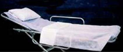 Stretcher Sheet Fitted 30 X 72 Inch Blue Disposable (Case of 50)