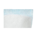 Secure Personal Care Products TotalDry Moderate Extra Absorbency Bladder Control Pad, 4 x 13 Inch (180/CS) 
