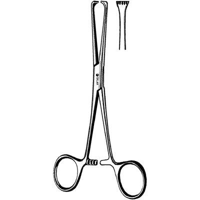 Sklar Boys-Allis Tissue Forceps - 6" - 36-1860
